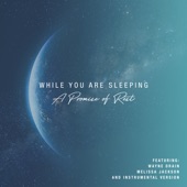 While You Are Sleeping (feat. Wayne Drain) artwork