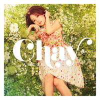 大切な色彩-chay