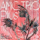 AMC Trio Plus artwork