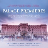 Palace Premieres artwork