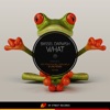 Bassel Darwish - What