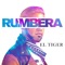 Rumbera - El Tiger lyrics