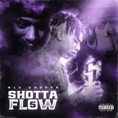 Shotta Flow 5 artwork