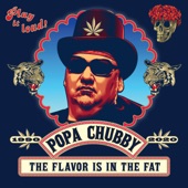 The Flavor Is In the Fat artwork