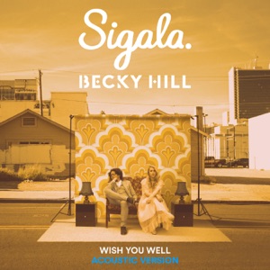 Wish You Well (Acoustic) - Single
