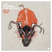 The Furrow Collective - Wild Hog in the Woods