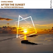 After the Sunset (Patrick Mayers Remix) artwork