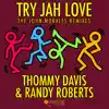 Try Jah Love - Single album lyrics, reviews, download