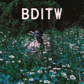 B.D.I.T.W. - EP artwork