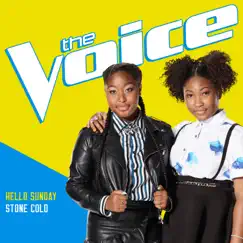 Stone Cold (The Voice Performance) Song Lyrics