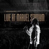 Live at Marvel Stadium artwork