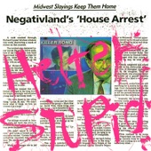Negativland - The Perfect Cut (White Rabbit and a Dog Named Gidget)
