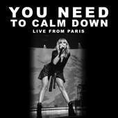 You Need To Calm Down (Live From Paris) artwork