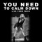 You Need To Calm Down (Live From Paris) artwork