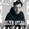 Free (Sezer Uysal's Pain Free Remix) - DJ Leman lyrics