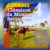 Grandes Clássicos da Música Sertaneja, Vol. 4