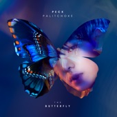 THE BUTTERFLY artwork
