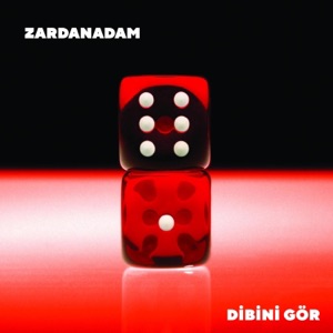 Dibini Gör