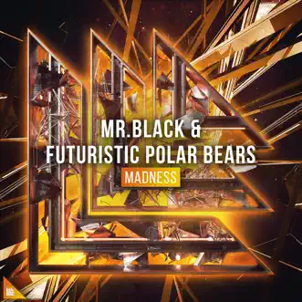 Madness (Extended Mix) by MR.BLACK & Futuristic Polar Bears song reviws