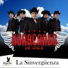 La Sinvergüenza - Single