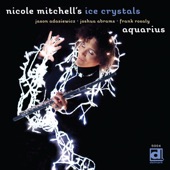 Nichole Mitchell, Ice Crystal - Yearning