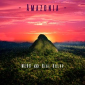 Amazonia (A1000eyes Remix) artwork