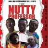 The Nutty Professor artwork