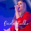 Driele Fialho (Ao Vivo) - Single