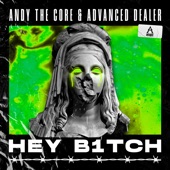 Hey B1tch (Extended Mix) artwork