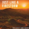 Just Like a Firestorm (feat. Cammie Robinson) - Single, 2019