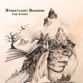 Streetlight Shakers - The Story
