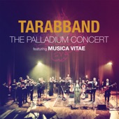 The Palladium Concert (feat. Musica Vitae Chamber Orchestra) artwork