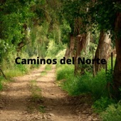 Caminos del Norte artwork