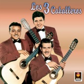 Los Tres Caballeros artwork