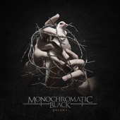 Monochromatic Black - Phosphenes