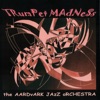 The Aardvark Jazz Orchestra
