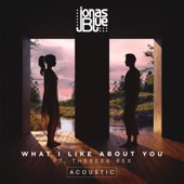 What I Like About You (feat. Theresa Rex) [Acoustic] artwork