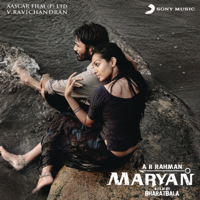 A. R. Rahman - Maryan (Original Motion Picture Soundtrack) artwork