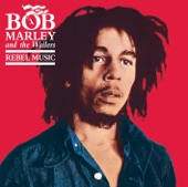 Bob Marley & The Wailers - Roots