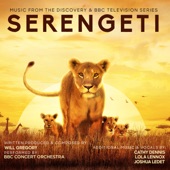 Serengeti (Music From the Discovery & BBC Television Series) artwork