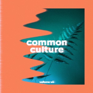 Teflon Sega Beretta Lake (feat. SAINt JHN)