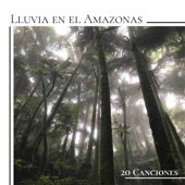 Lluvia en el Amazonas 20 Canciones - Música con Sonidos Ambientales de Tormenta, Lluvia, Agua y Pájaros - Federico Ríos Santos