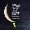 DJ Turbulence - - Spend The Night (Feat. Abrina)