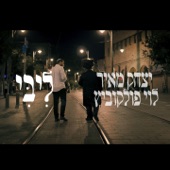 ליבי (feat. לוי פולקוביץ) artwork