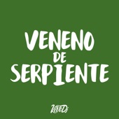 Veneno de Serpiente (feat. Locura Mix) artwork