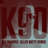 Red Snapper (Allen Watts Remix) artwork
