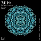 741 Hz Full Body Detox - EP artwork