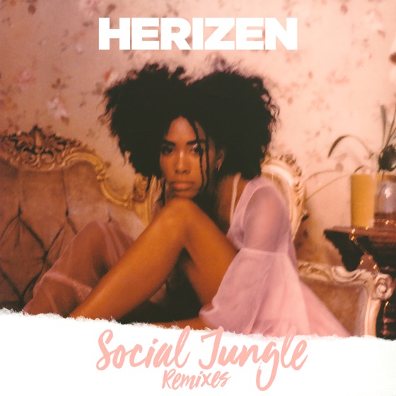Cover artwork for Social Jungle