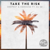 Take the Risk (feat. DJ SK) artwork