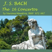Concerto in D Major, BWV 972: I. Allegro artwork